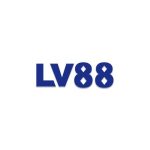 Profile picture of lv88tax