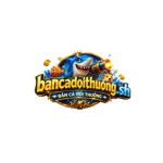 Profile picture of bancadoithuongsh