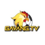 Profile picture of gavangtvcomim1