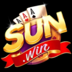 Profile picture of lionsfundingvmch