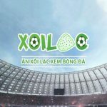 Profile picture of xoilaczautv