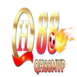 Profile picture of qh88mvpvn01