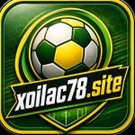 Profile picture of XOI LAC