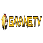 Profile picture of gavangtv11com
