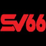 Profile picture of s666nin