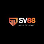 Profile picture of sv88mexcom