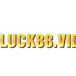 Profile picture of luck8video1