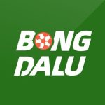 Profile picture of bongdalucourses
