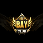 Profile picture of bayclubblog