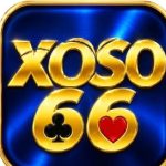 Profile picture of xoso66courses1