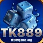 Profile picture of tk889game
