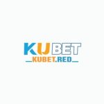 Profile picture of kubetred1