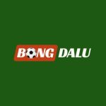 Profile picture of Bongdaluprocom