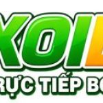 Profile picture of xoilacvct