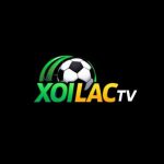 Profile picture of Xoilaccx1