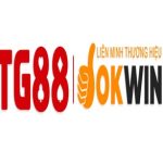 Profile picture of tg88agency