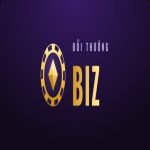 Profile picture of doithuongbizvn