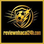Profile picture of reviewnhacai24h