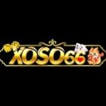 Profile picture of Xoso666tech