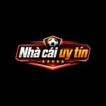 Profile picture of nhacaiuytinnhatvietnamcom