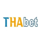 Profile picture of thabet4innet