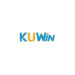 Profile picture of kuwinfdev