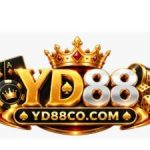 Profile picture of Yd88cocom