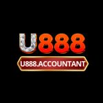 Profile picture of u888accountant1