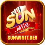 Profile picture of Sunwinttdev