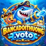 Profile picture of Bancadoithuongvoto1