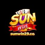 Profile picture of sunwin29co