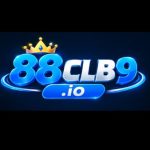 Profile picture of 88clb9io