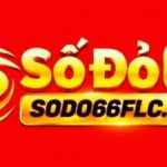 Profile picture of sodo66flccom