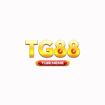 Profile picture of tg88official