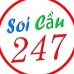 Profile picture of Soicau247rongbachkimme