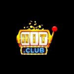 Profile picture of Hitclubvngames