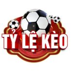 Profile picture of Tylekeobongda8net