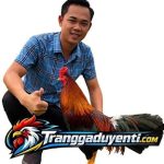 Profile picture of traigaduyenti1