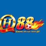 Profile picture of Qh88sex