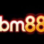 Profile picture of bbm88dev