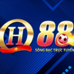 Profile picture of Qh88vpnjpncom