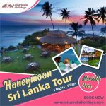 Profile picture of lotusindiaholidays