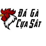 Profile picture of dagacuasat