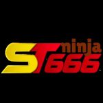 Profile picture of st666ninja