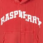 Profile picture of https://raspberryhillstore.com/