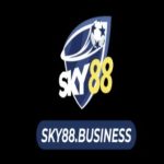 Profile picture of sky88business