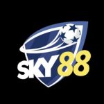 Profile picture of sky88diamonds