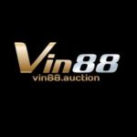 Profile picture of vin88auction