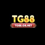 Profile picture of tg88gbnet