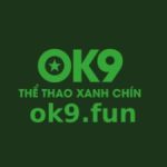 Profile picture of OK9 còn đặc biệt quan tâm đến chiều sâu của những trò chơi lôi cuốn được tích hợp bên trong. Website: https://ok9.fun